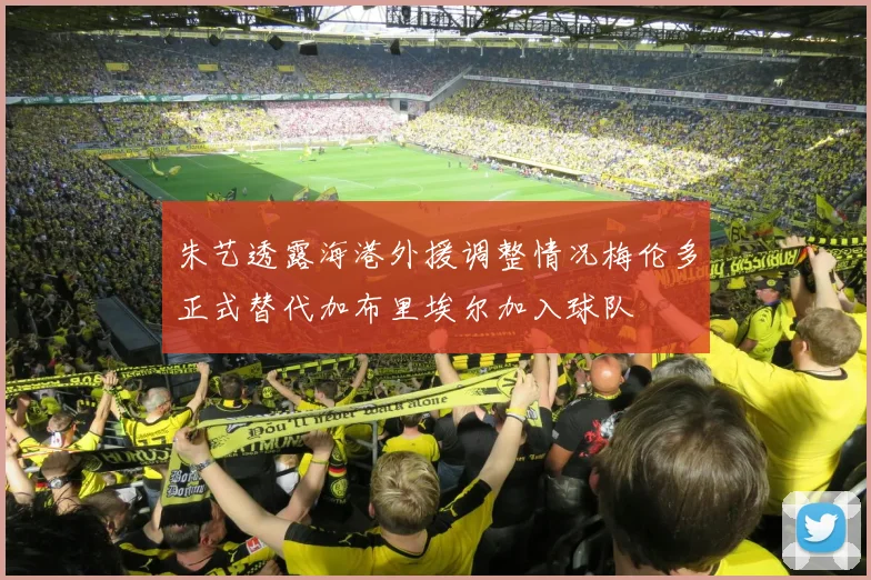 朱艺透露海港外援调整情况梅伦多正式替代加布里埃尔加入球队