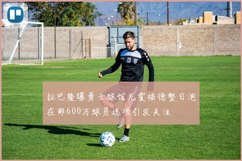 拉巴隆曝勇士球馆见霍福德整日泡在那600万球员选项引发关注